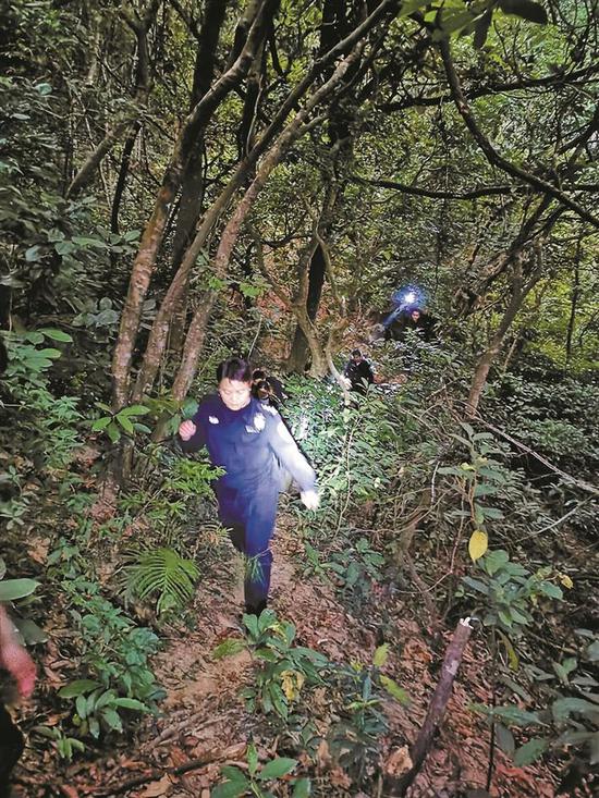  天色渐暗，救援警力一边开着手电筒寻找一边向山林里行进。 盐田警方供图